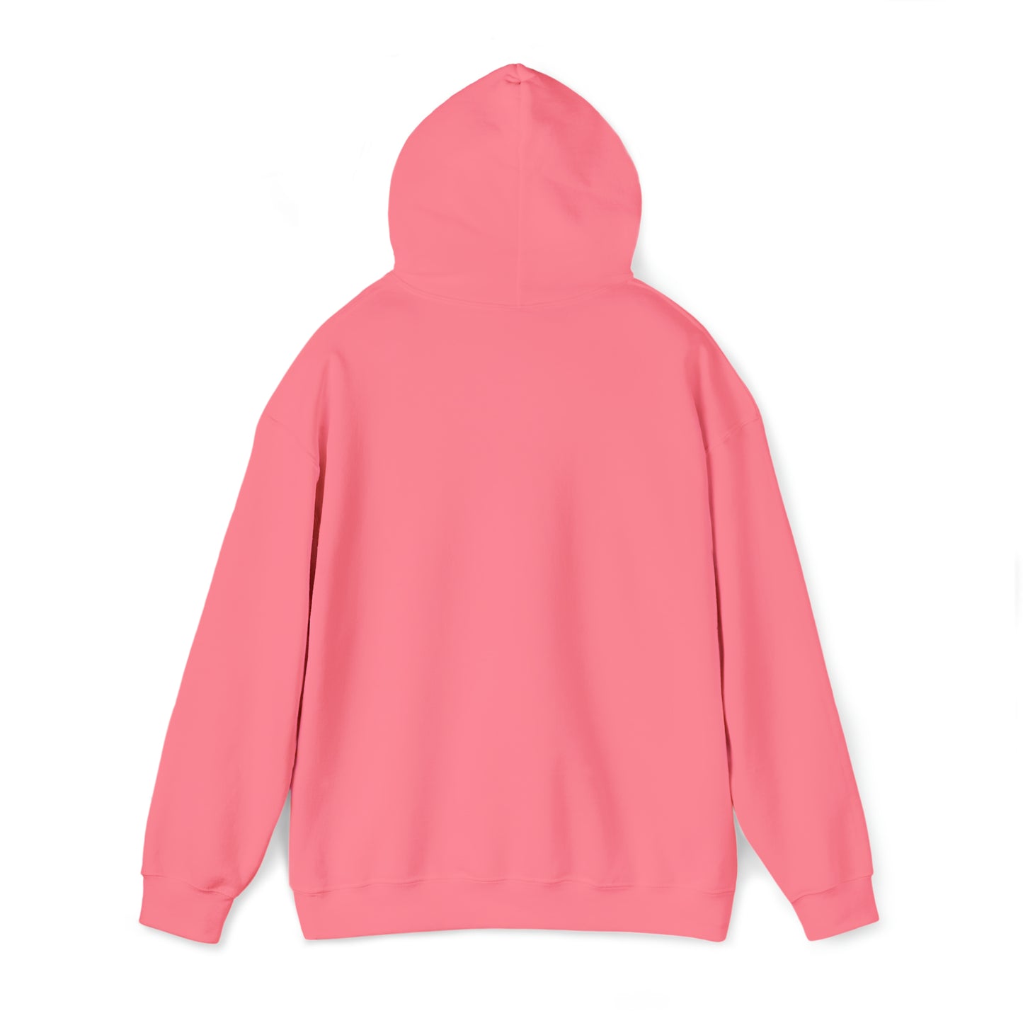 Pink VIR Hoodie