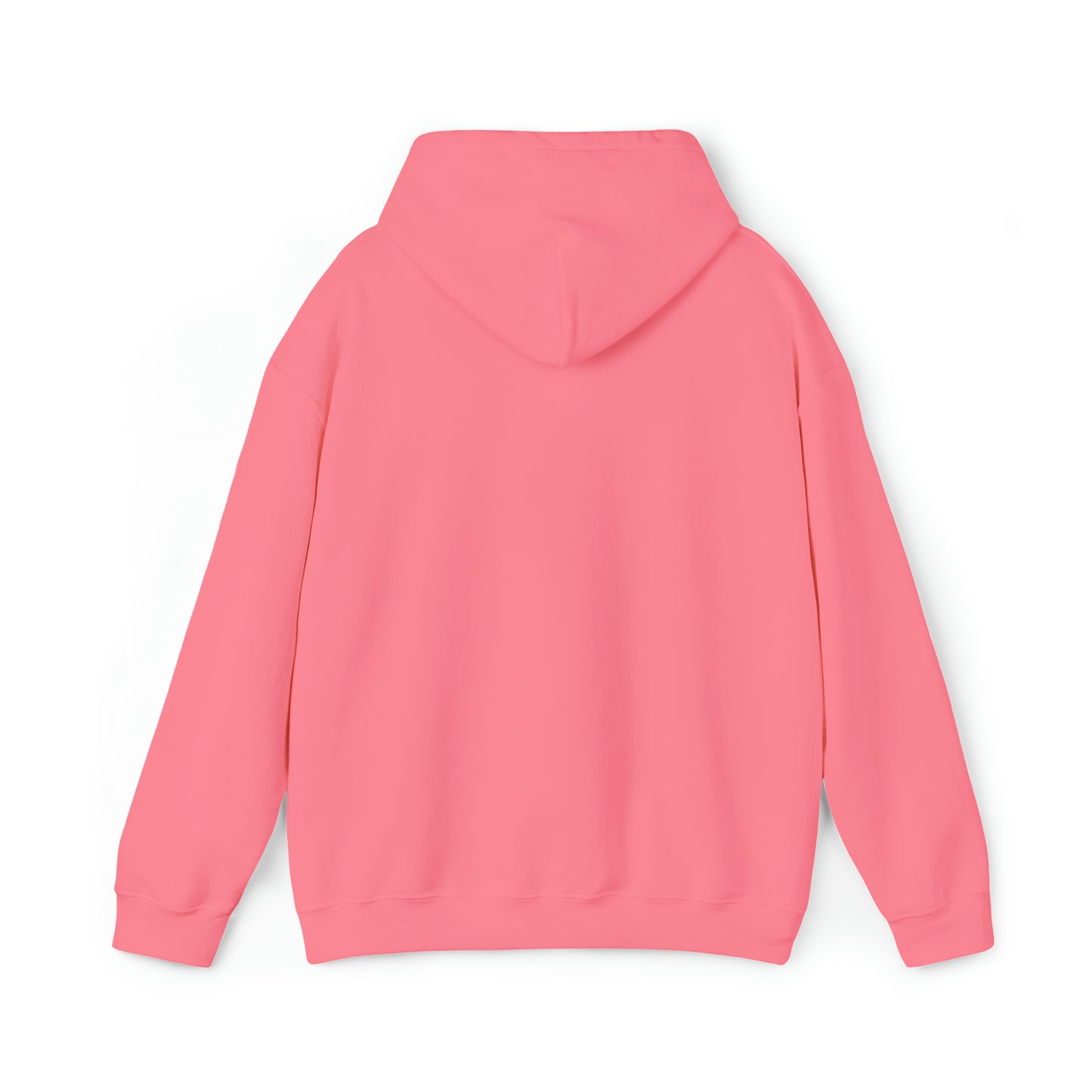 Pink VIR Hoodie