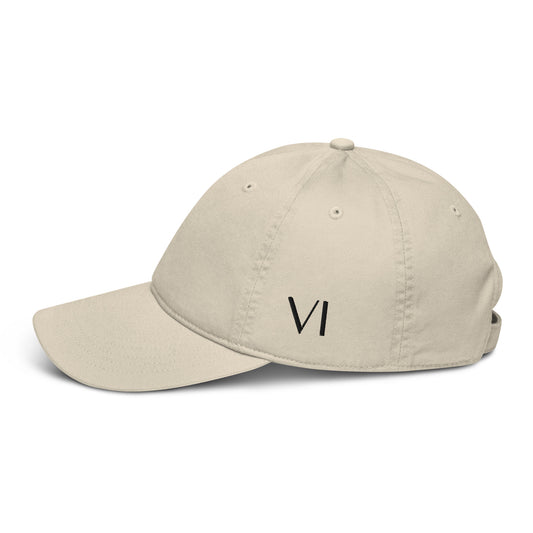 VI Embroidered Eco-Friendly Hat